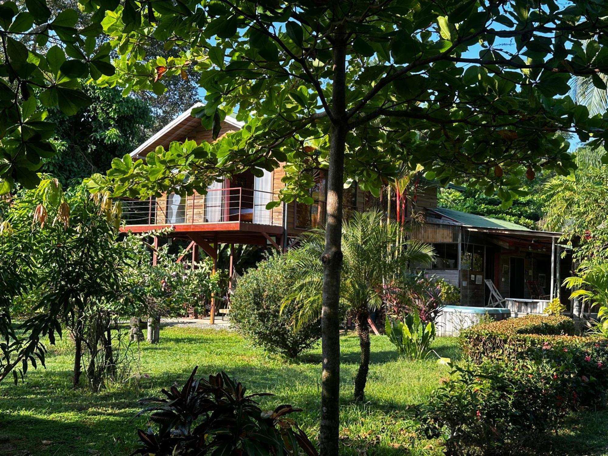 Casa Mediterránea with Pool&2100 m2 Garden near Beach&Rain Forest Uvita Exterior foto