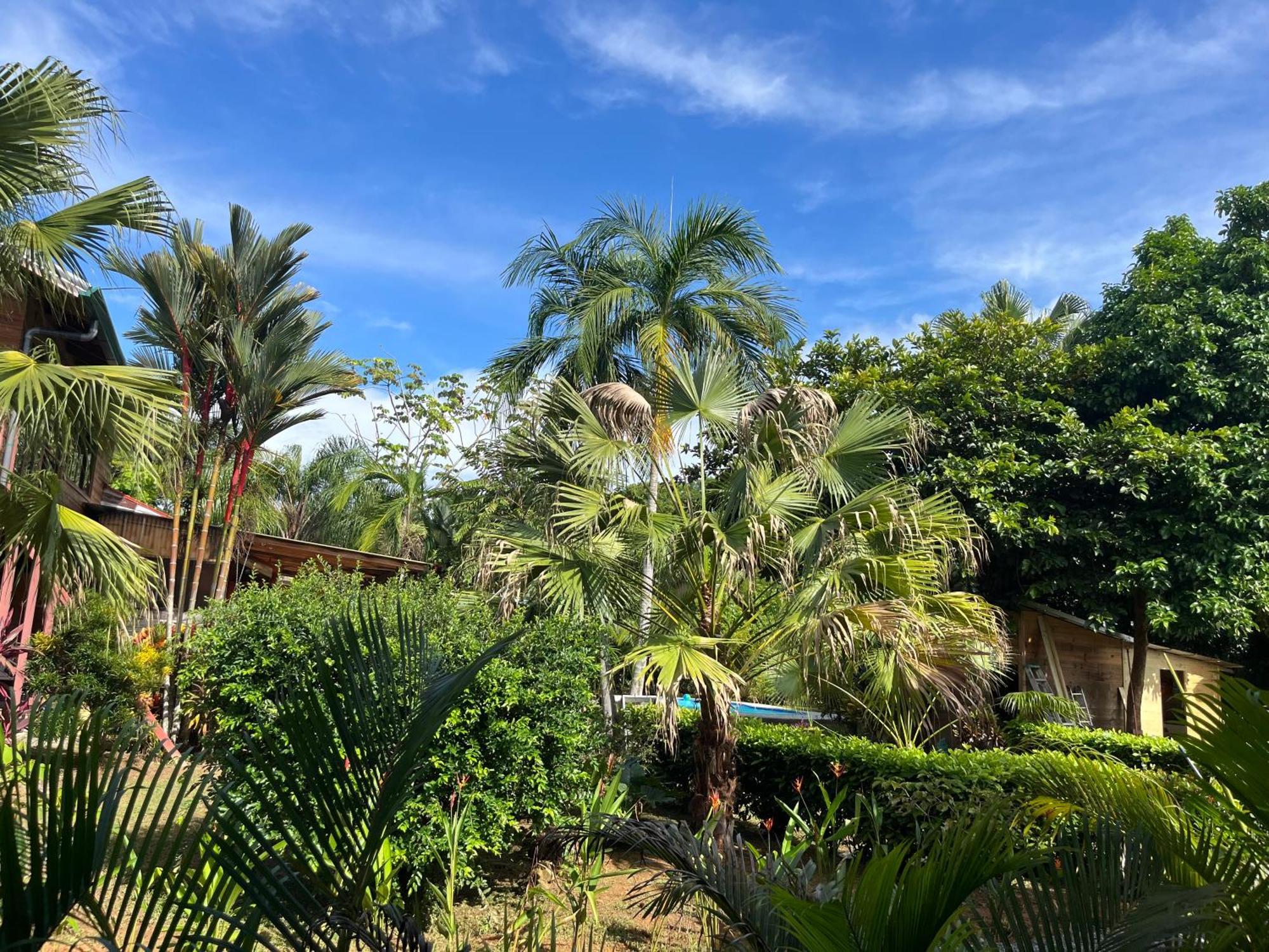 Casa Mediterránea with Pool&2100 m2 Garden near Beach&Rain Forest Uvita Exterior foto