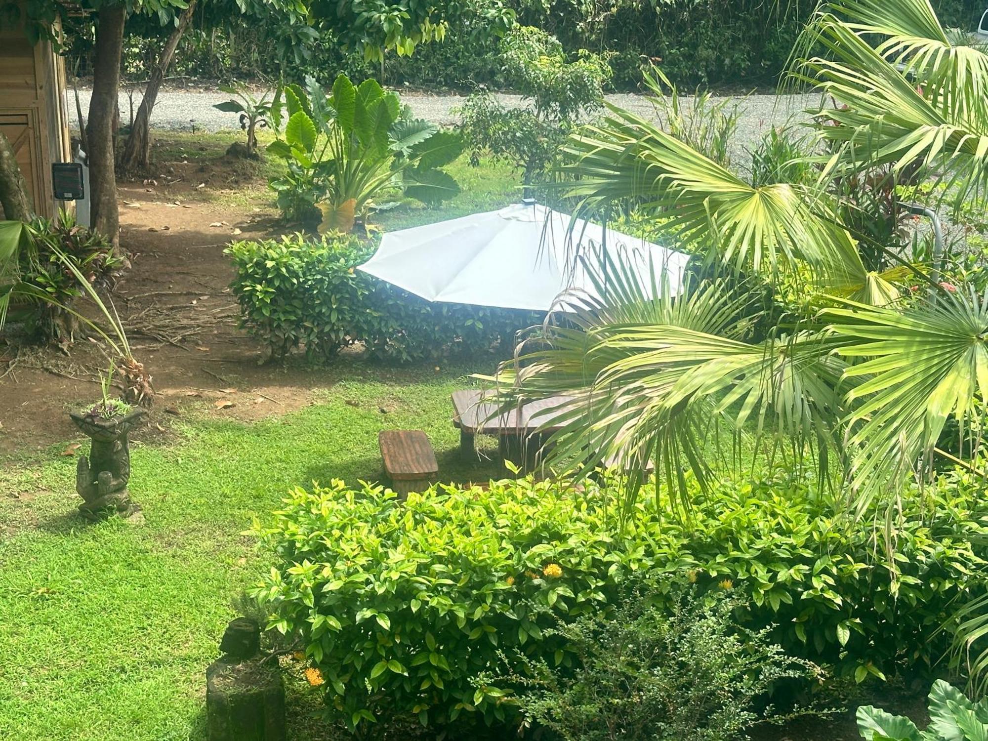 Casa Mediterránea with Pool&2100 m2 Garden near Beach&Rain Forest Uvita Exterior foto