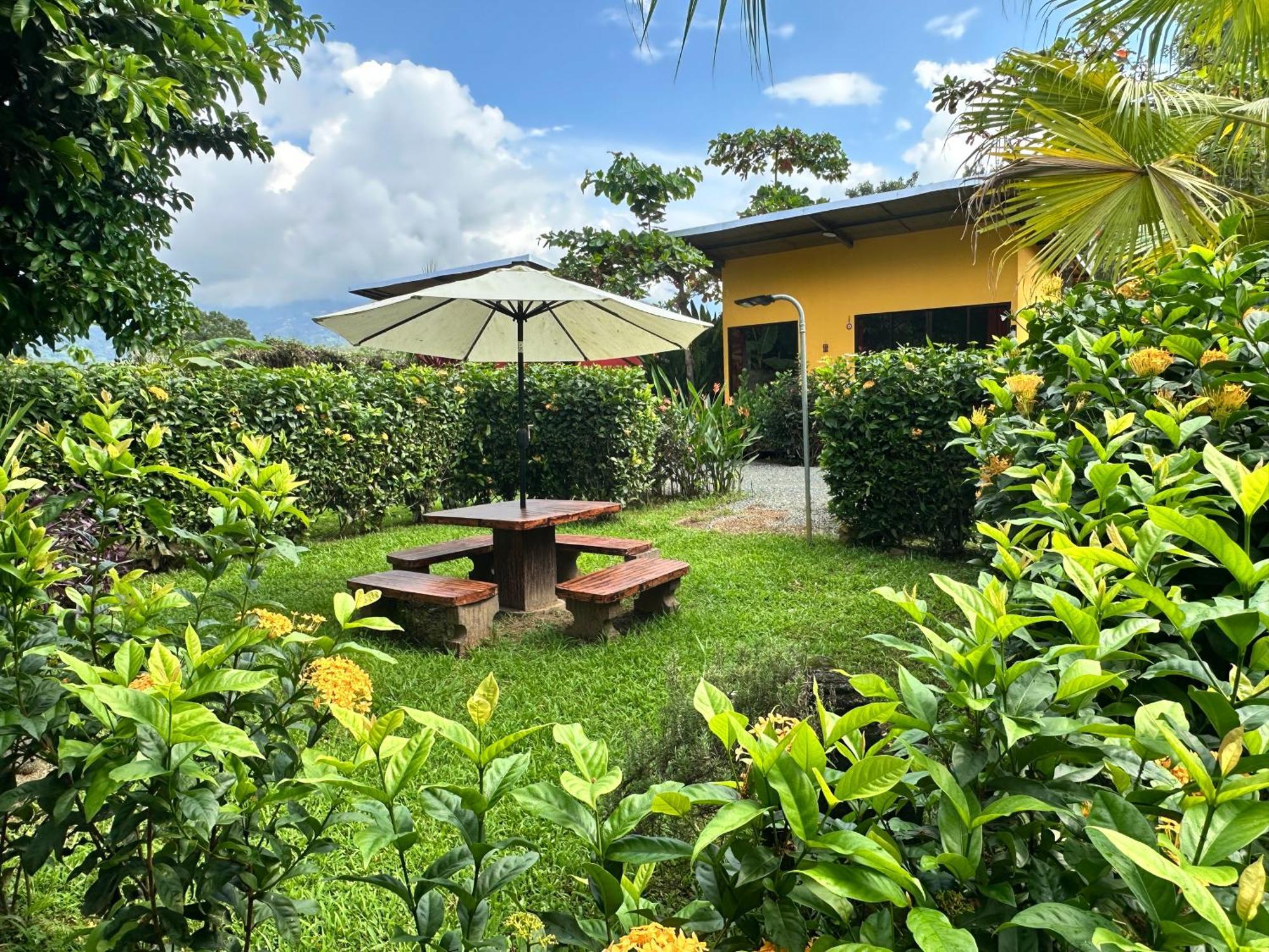 Casa Mediterránea with Pool&2100 m2 Garden near Beach&Rain Forest Uvita Exterior foto