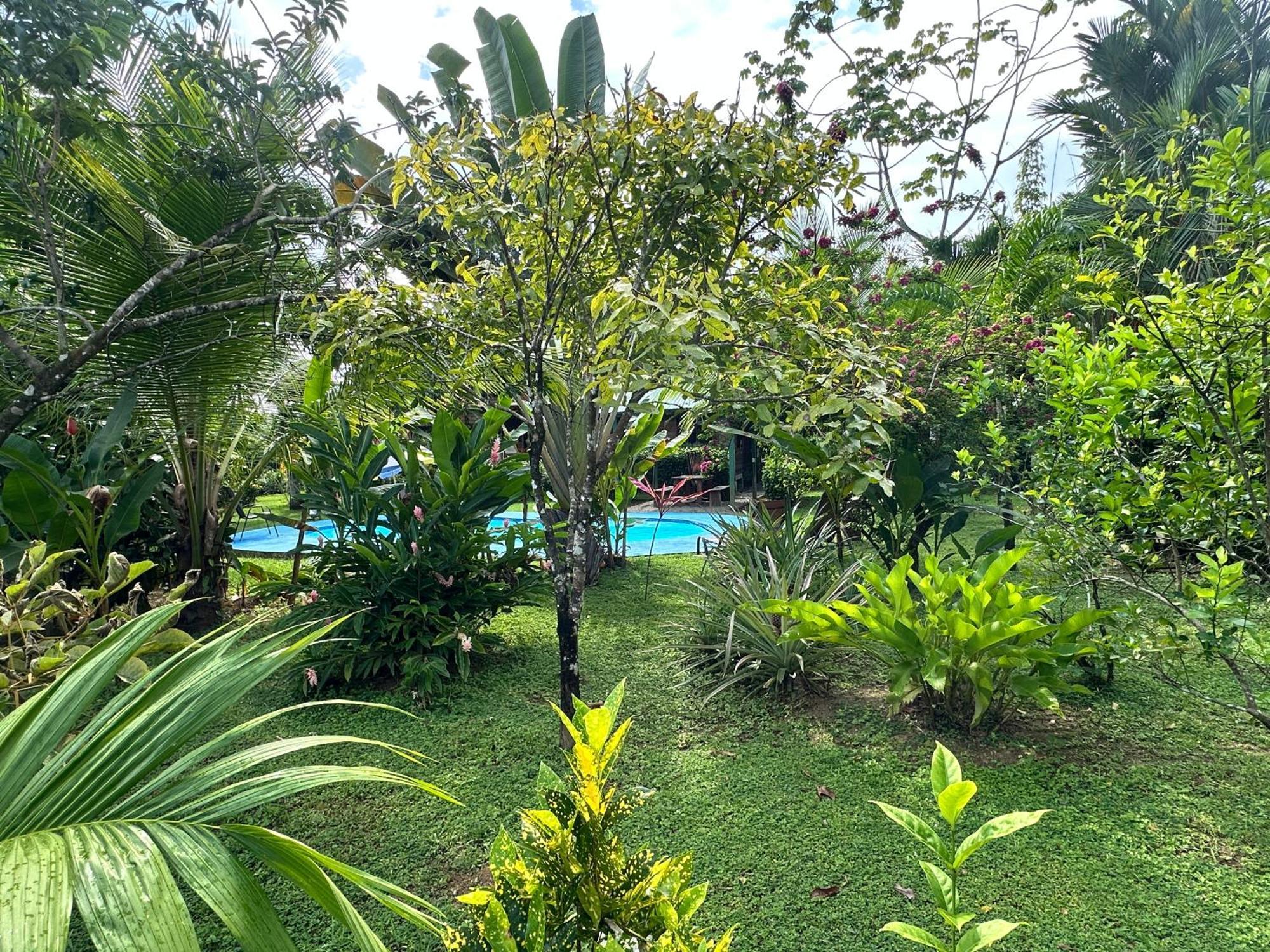 Casa Mediterránea with Pool&2100 m2 Garden near Beach&Rain Forest Uvita Exterior foto